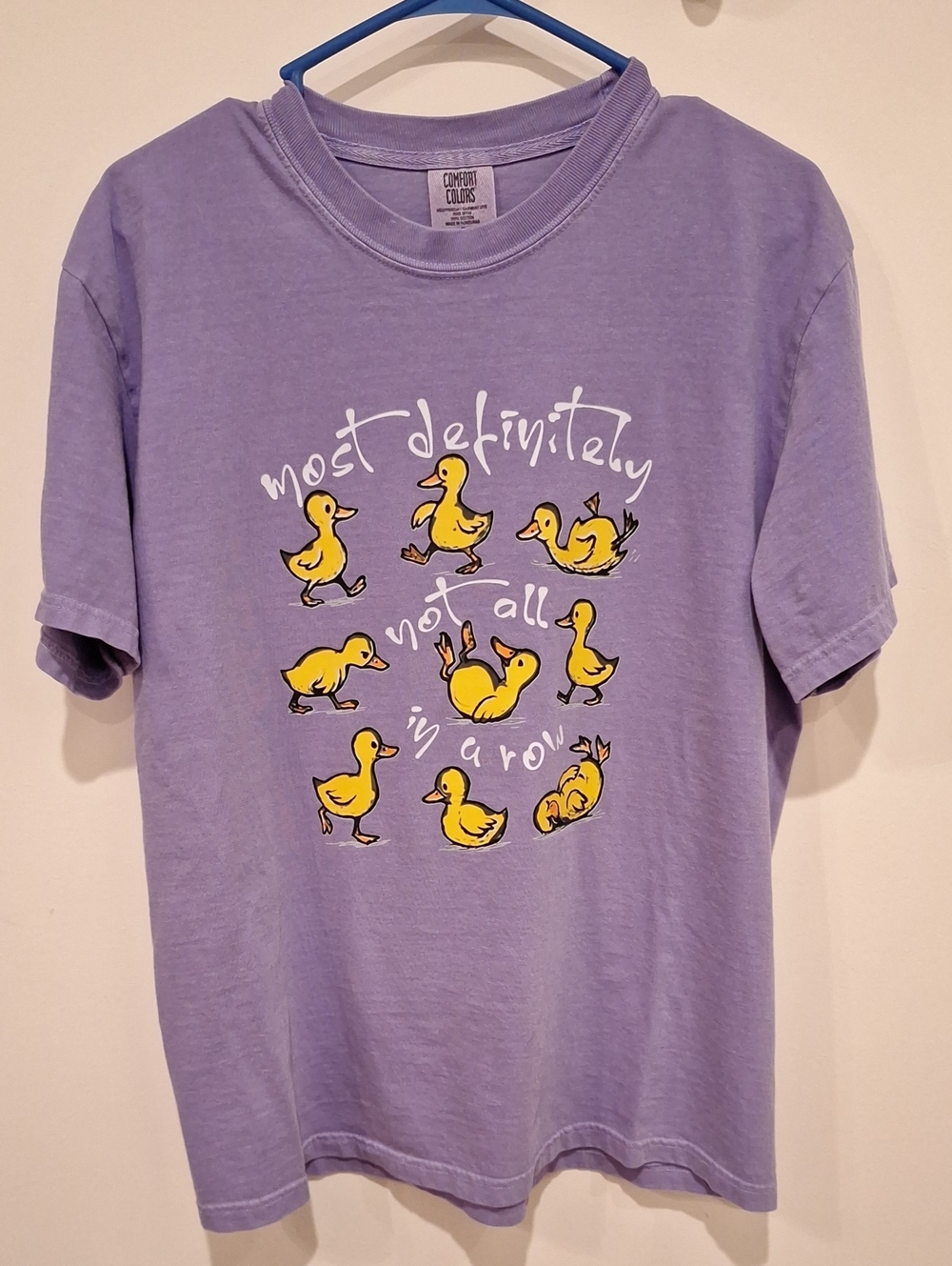 NWOT Comfort Colors Ducks "Most Definitely Not All In A Row" Purple Tee